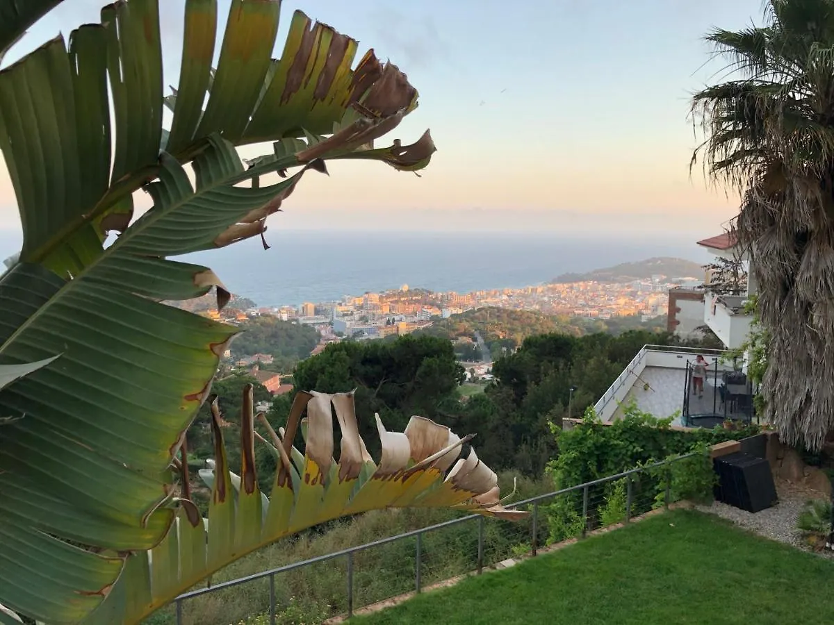 Villa Oasis Costa Brava Lloret de Mar
